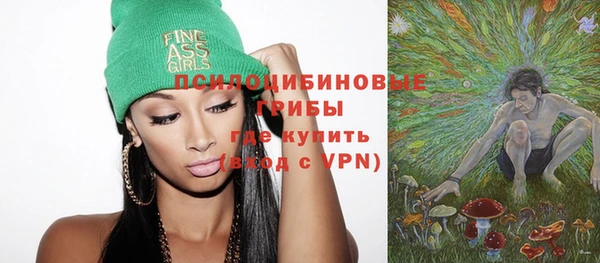 твердый Медногорск