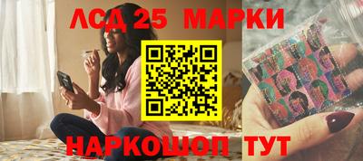 индика Ставрополь