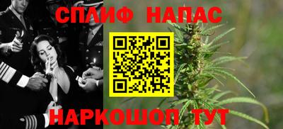 индика Ставрополь