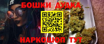 индика Ставрополь