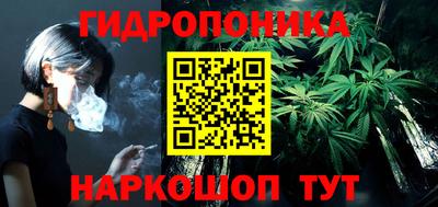 индика Ставрополь
