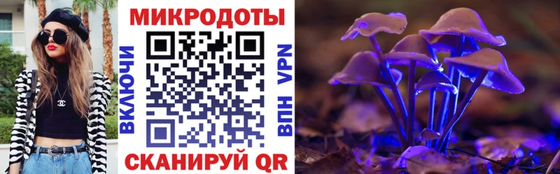 Галлюциногенные грибы MAGIC MUSHROOMS  дарнет шоп  Тутаев 