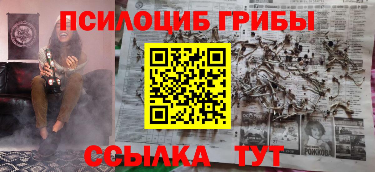 Псилоцибиновые грибы мицелий Тутаев